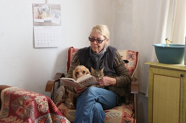 Finlandiyalı kadın, köpekleri için Türkiye'de kaldı