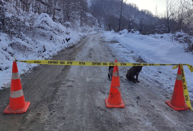 Düzce'de dereye batan iş makinesinin operatörü bulundu